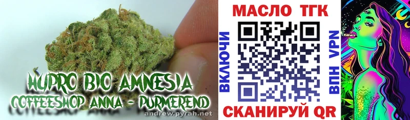 дарнет шоп  hydra ТОР  Дистиллят ТГК гашишное масло  Староминская 